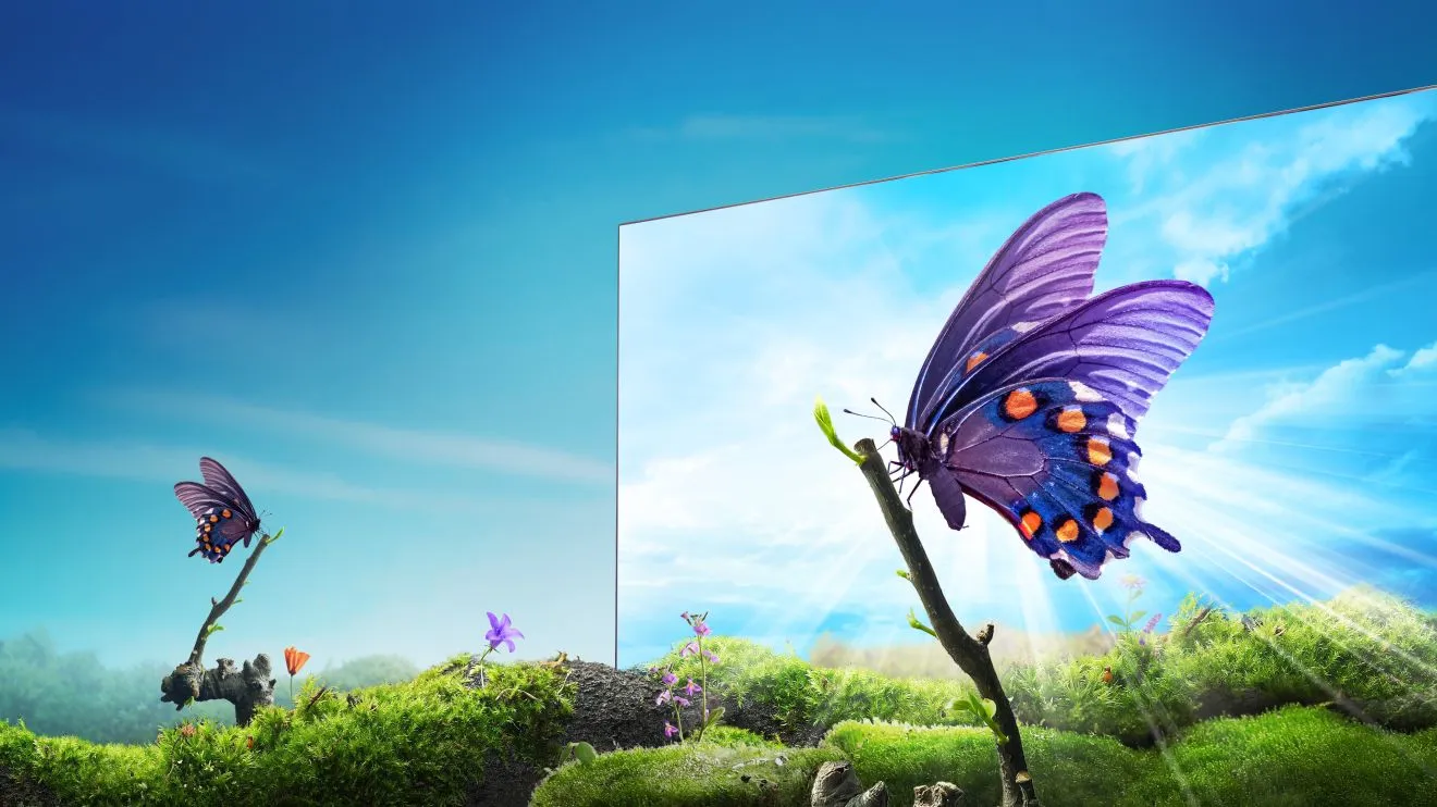 Full image clarity with 4K Full image clarity with 4K
