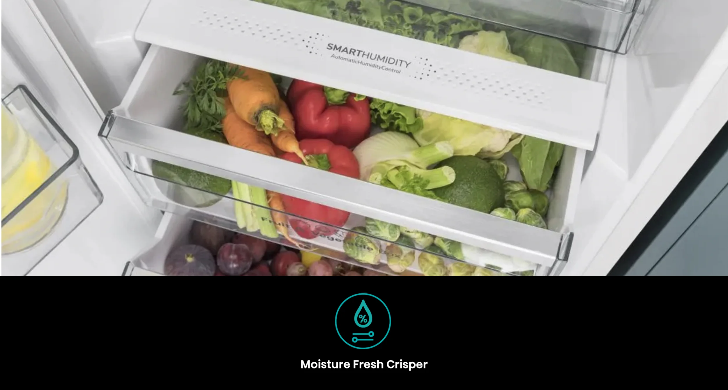 DK_Cooling_features_column11_Moisture_Fresh_Crisper.webp DK_Cooling_features_column11_Moisture_Fresh_Crisper.webp