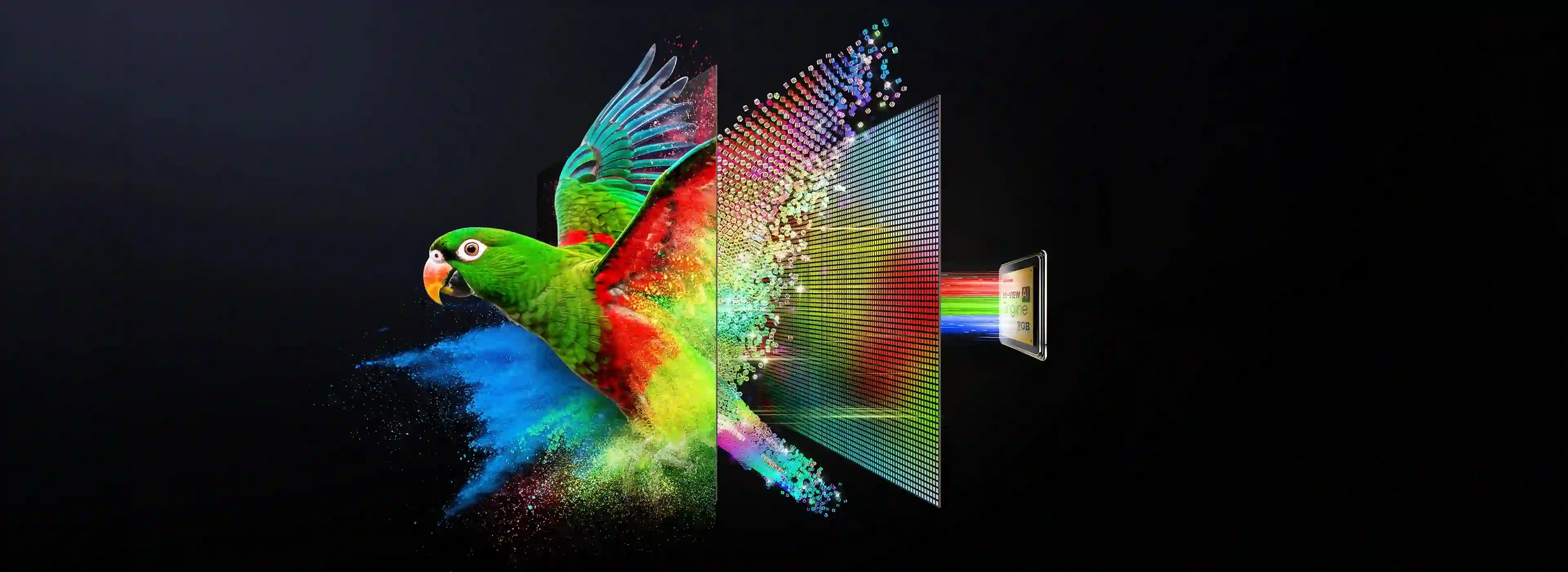 RS_Blacklight-Desktop.webp RS_Blacklight-Desktop.webp