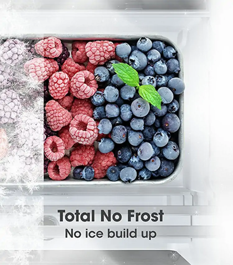 total-no-frost-750x850.webp